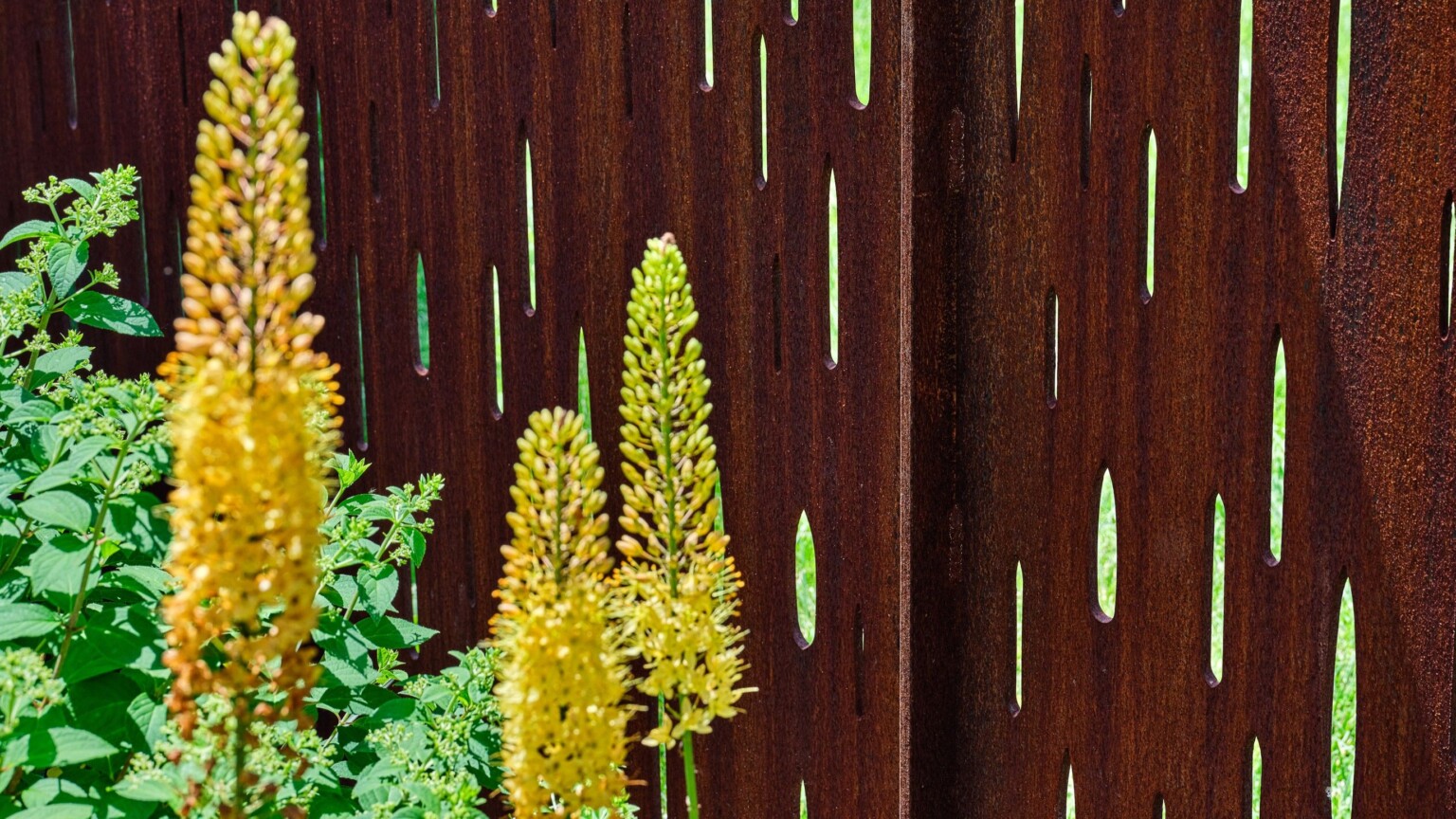 upclose image of flowers and greenery against a holey dark wood wall with small oval holes