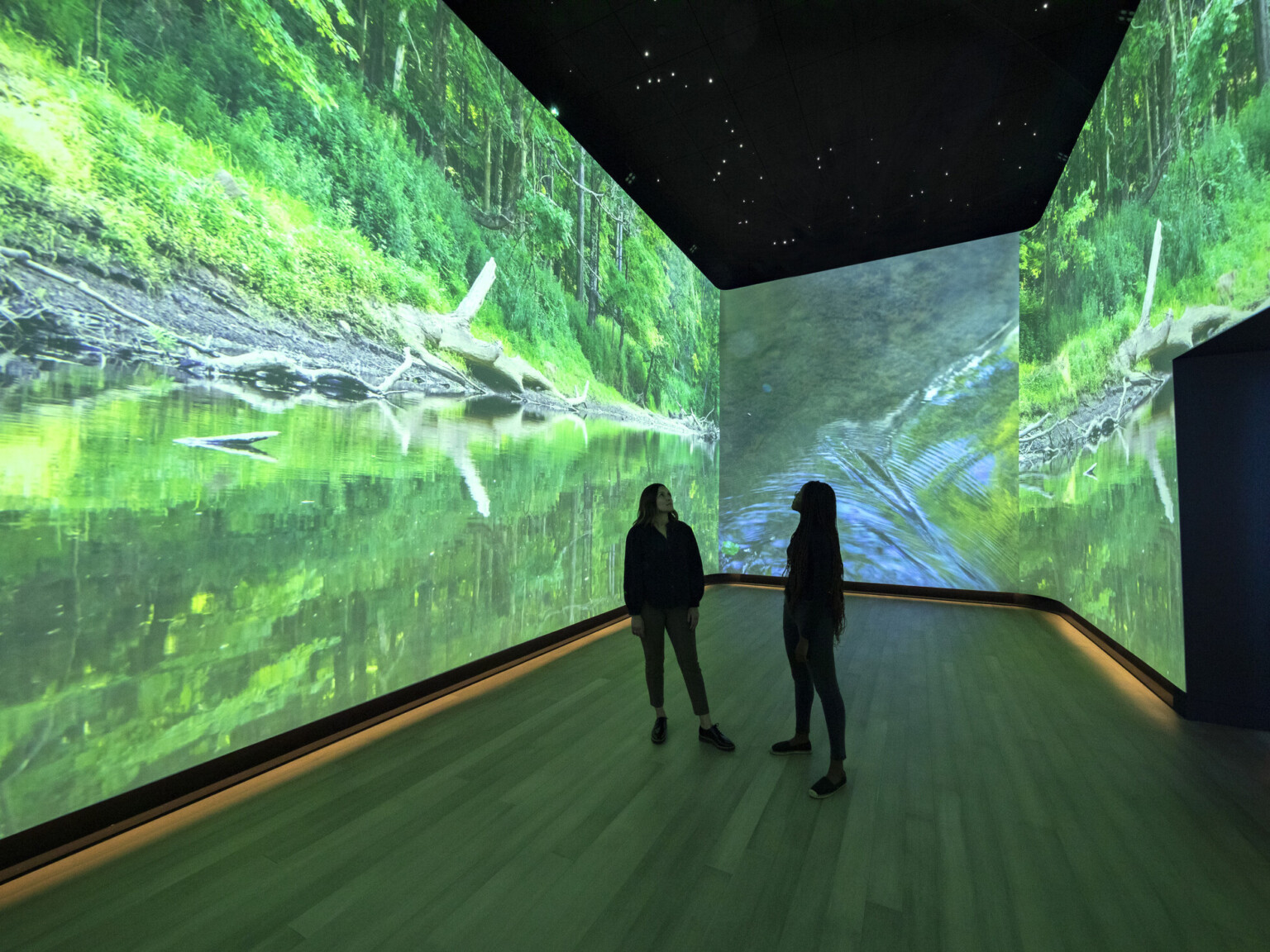 An immersive art exhibit at the Heard Museum with screens on all visible walls of the room showing a stream surrounded by greenery, interactive museum