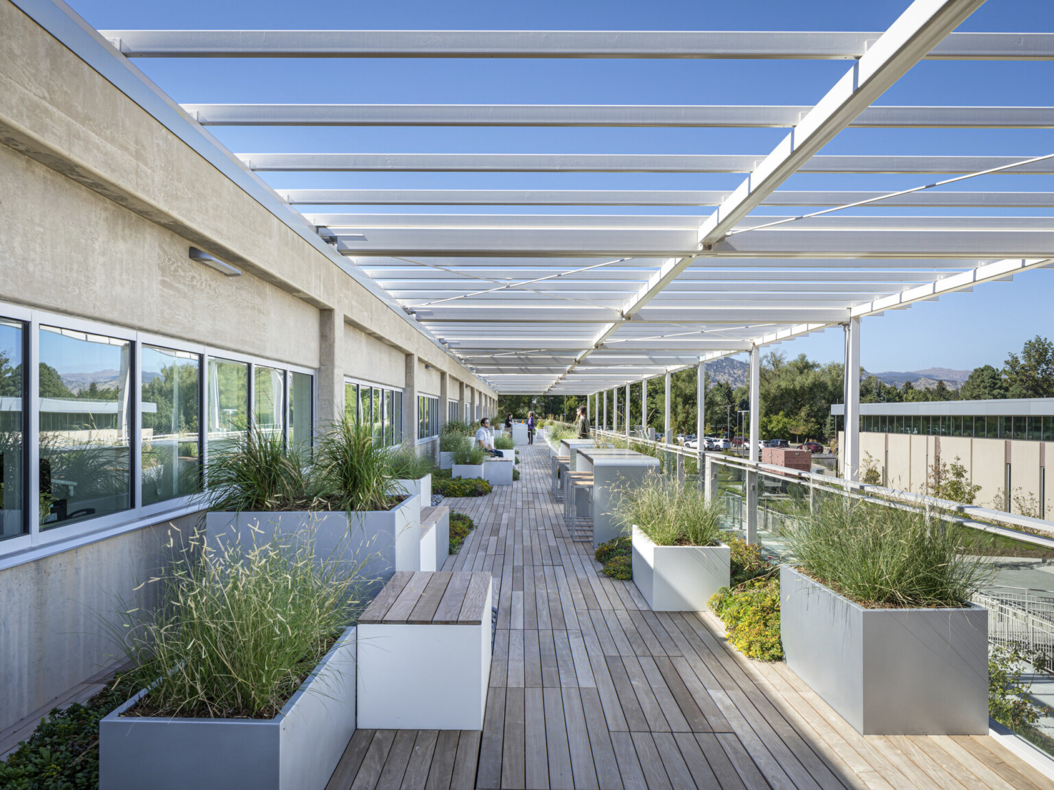 Outdoor walkway filled with plants in white planters on wooden decking