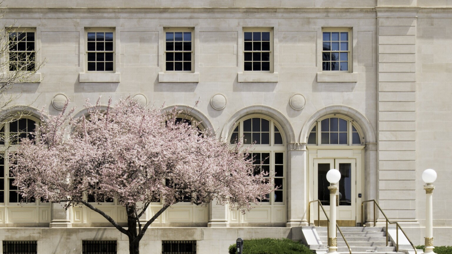 close up image of a white historic building; cherry blossom tree in front; small front entrance with arched build outs
