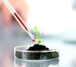 growth hacking